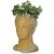 DPS - Deep Sea : OK Outdoor - Fiberglass - (F7383)
