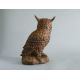 Hoot Owl Fiber Stone Resin Indoor/Outdoor Garden Statue/Sculpture -  - FS9131
