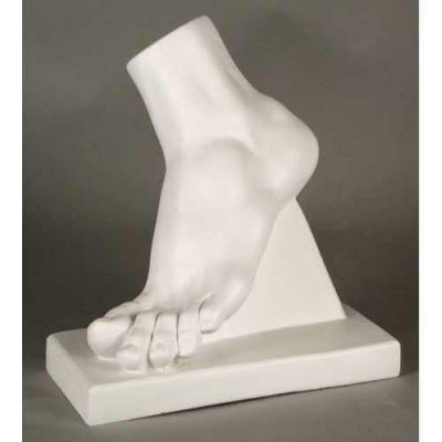 Large Foot Sculpture 12in. - Fiberglass - Indoor/Outdoor Statue -  - DC566A