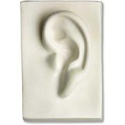 Left Ear 7in. - Fiberglass - Indoor/Outdoor Statue/Sculpture