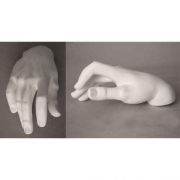 Male Right Hand 11in. Wide - Fiberglass - Indoor/Outdoor Statue