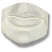Mouth Wall Plaque 29in. High - Fiberglass Resin - Outdoor