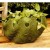 VER - Verde : OK Outdoor - Fiber Stone - (F8101)