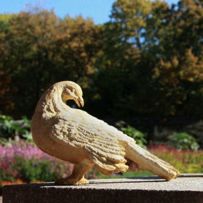 Preening Dove Fiber Stone Resin Indoor/Outdoor Garden Statue/Sculpture -  - FS8667