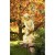 POM - Pompeii : OK Outdoor - Fiber Stone - (F7311)