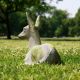 Sitting Deer Fawn Fiber Stone Resin Indoor/Outdoor Statue/Sculpture -  - FS8682
