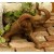 SAN - Sandstone : OK Outdoor - Fiber Stone - (F8161)