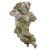 WHM - White Moss - (F496A)
