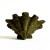 VER - Verde - (F7527)
