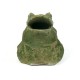 Croaking Frog 9in. - Fiber Stone Resin - Indoor/Outdoor Garden Statue -  - FS016