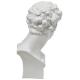 Giuliano De Medici 24in. Fiberglass Indoor/Outdoor Garden Statue -  - TDS124