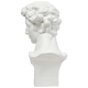 Giuliano De Medici 24in. Fiberglass Indoor/Outdoor Garden Statue -  - TDS124