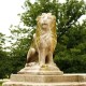Sitting Lion Right 24in. - Fiber Stone Resin - Indoor/Outdoor Statue -  - FSDS513R
