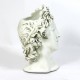 Apollo Head Planter 17in Fiberglass Indoor/Outdoor Garden -  - F7381