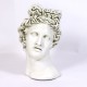 Apollo Head Planter 17in Fiberglass Indoor/Outdoor Garden -  - F7381