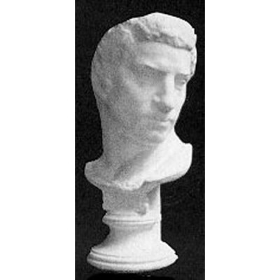 Brutus Bust Fiberglass - Indoor/Outdoor Garden Statue/Sculpture -  - T398