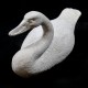 Swan Gliding Fiber Stone Resin Indoor/Outdoor Garden Statue/Sculpture -  - FS8706