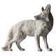 Steady Fox Fiberglass Indoor/Outdoor Garden Statue/Sculpture - - F8619 Steady Fox Fiberglass Indoor/Outdoor Garden Statue/Sculpture - - F8619