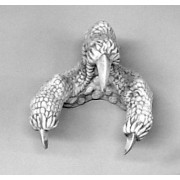 Dragon Claw 6in. - Fiberglass Resin - Indoor/Outdoor Statue/Sculpture