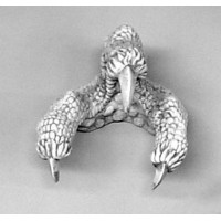 Dragon Claw 6in. - Fiberglass Resin - Indoor/Outdoor Statue/Sculpture