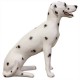 Dalmatian Sitting 24 Inch Fiberglass Indoor Church Statue/Sculpture - - F6758RLC Dalmatian Sitting 24 Inch Fiberglass Indoor Church Statue/Sculpture - - F6758RLC