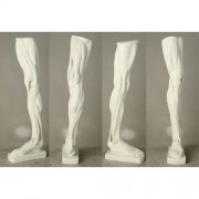 Anatomical Leg - Fiberglass Resin - Indoor/Outdoor Statue/Sculpture