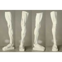 Anatomical Leg - Fiberglass Resin - Indoor/Outdoor Statue/Sculpture
