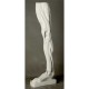 Anatomical Leg - Fiberglass Resin - Indoor/Outdoor Statue/Sculpture -  - DC572