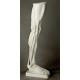 Anatomical Leg - Fiberglass Resin - Indoor/Outdoor Statue/Sculpture -  - DC572
