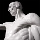Anatomy Of Man 72in. Fiberglass - Indoor/Outdoor Garden Statue -  - DC111