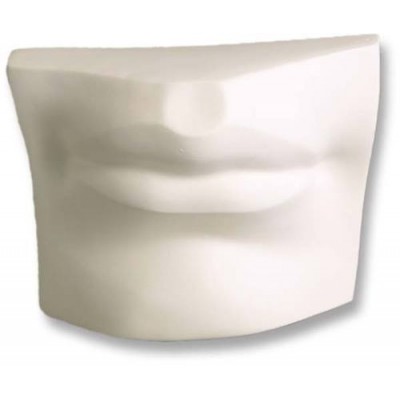 David s Mouth - Fiberglass - Indoor/Outdoor Statue/Sculpture -  - DC285