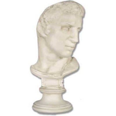 Brutus Bust - Fiberglass 21in. Indoor/Outdoor Statue/Sculpture -  - DC398