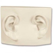 Left/Right Ear On Plaque - Fiberglass Resin - Indoor/Outdoor