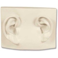 Left/Right Ear On Plaque - Fiberglass Resin - Indoor/Outdoor