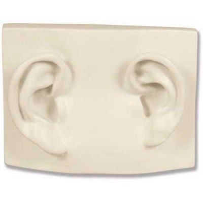 Left/Right Ear On Plaque - Fiberglass - Indoor/Outdoor Statue -  - DC903