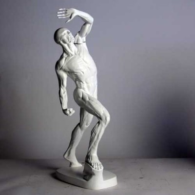 Anatomy Of Man 28in. Fiberglass - Indoor/Outdoor Garden Statue - - DC109 Anatomy Of Man 28in. Fiberglass - Indoor/Outdoor Garden Statue - - DC109