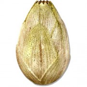Rosebud Closed 27in. Fiberglass Resin Indoor/Outdoor Garden Statue