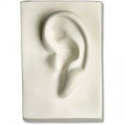 Left Ear 7in. - Fiberglass Resin - Indoor/Outdoor Statue/Sculpture Left Ear 7in. - Fiberglass Resin - Indoor/Outdoor Statue/Sculpture