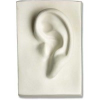 Left Ear 7in. - Fiberglass Resin - Indoor/Outdoor Statue/Sculpture