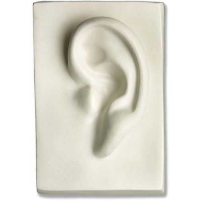 Left Ear 7in. - Fiberglass - Indoor/Outdoor Statue/Sculpture -  - DC901