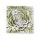 Rose Plaque Fiber Stone Resin Indoor/Outdoor Wall Mount Garden Statue -  - FS8743