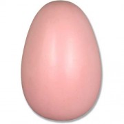 Egg - 15 Inch Fiberglass Resin Indoor/Outdoor Garden Statue/Sculpture