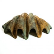 Atlantic Clam - Large 49in. Wide Fiberglass Resin In/Outdoor Statue