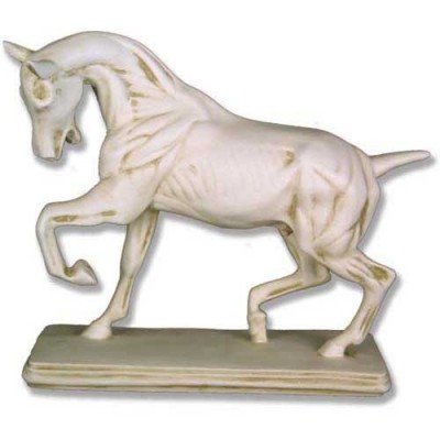 Anatomy Of Horse - Fiberglass Resin - Indoor/Outdoor Statue/Sculpture - - DC562 Anatomy Of Horse - Fiberglass Resin - Indoor/Outdoor Statue/Sculpture - - DC562
