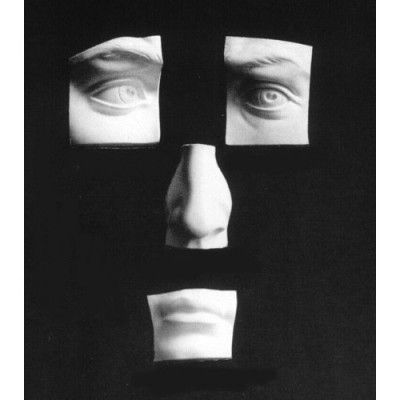 David s Face Set - Fiberglass - Indoor/Outdoor Statue/Sculpture -  - T285S