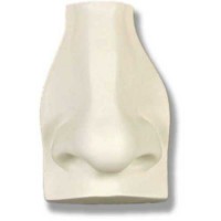 David's Nose - Fiberglass Resin - Indoor/Outdoor Statue/Sculpture