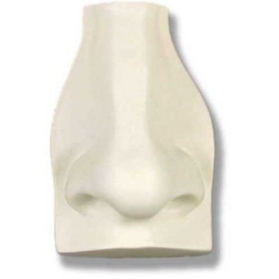David s Nose - Fiberglass - Indoor/Outdoor Statue/Sculpture -  - DC283