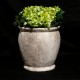 Williams Pot 14 In. Fiber Stone Resin Indoor/Outdoor Statue/Sculpture -  - FS8747-14