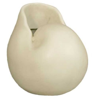 Nautilus Medium 12in. - Fiberglass - Indoor/Outdoor Statue -  - F7538