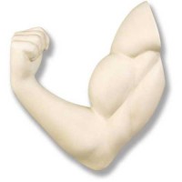 Make A Muscle 17in. - Fiberglass Resin - Indoor/Outdoor Garden Statue